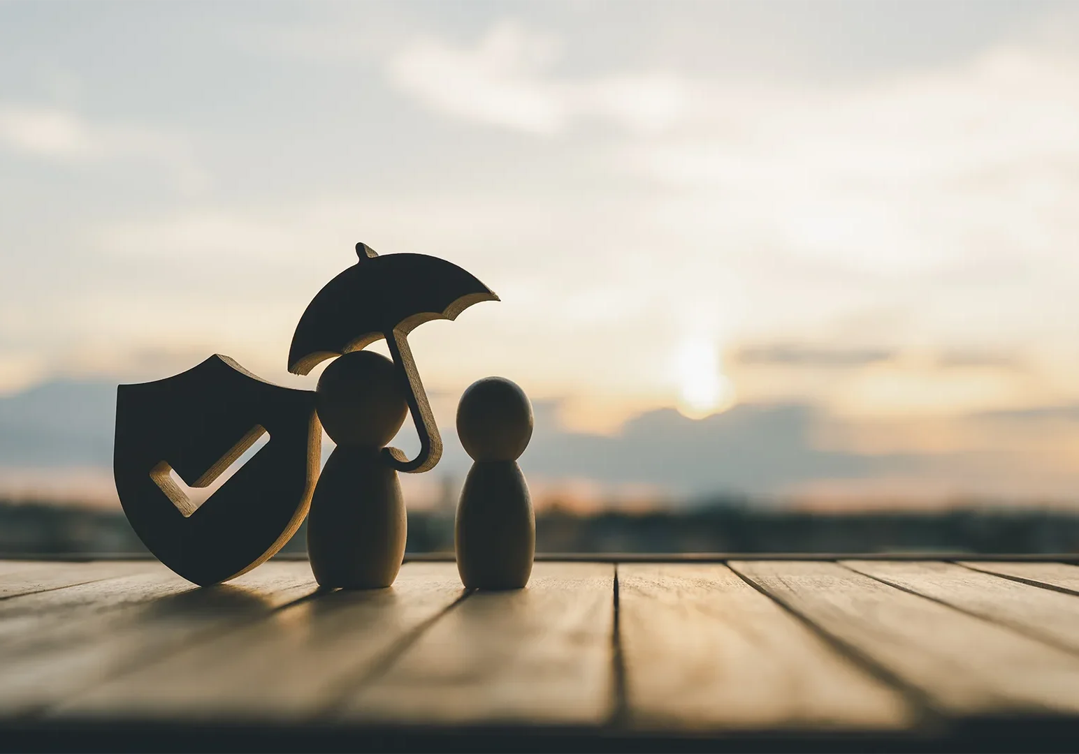 Who we help - Protection